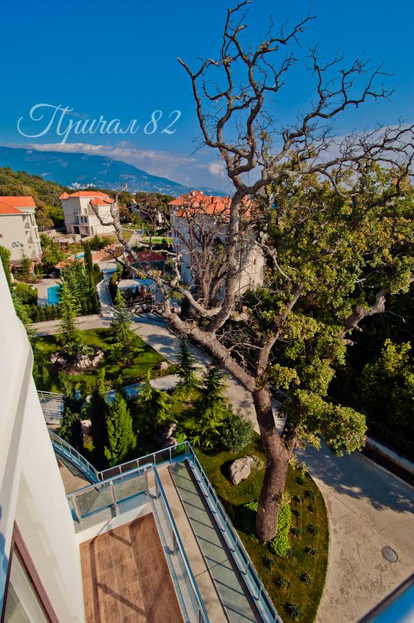 Ялта, пгт. Ореанда, 60