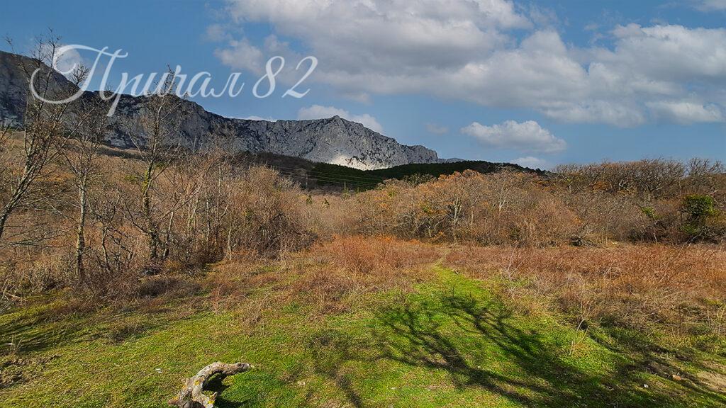 Ялта, пгт. Береговое