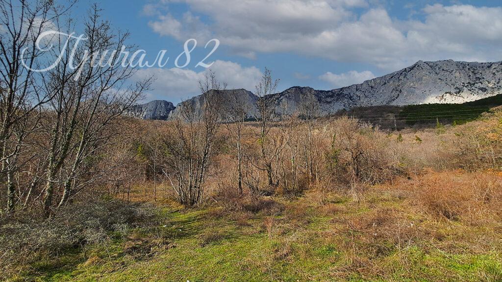 Ялта, пгт. Береговое