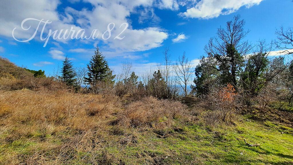 Ялта, пгт. Береговое