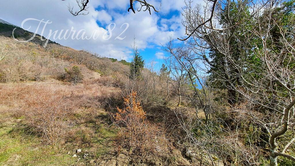 Ялта, пгт. Береговое