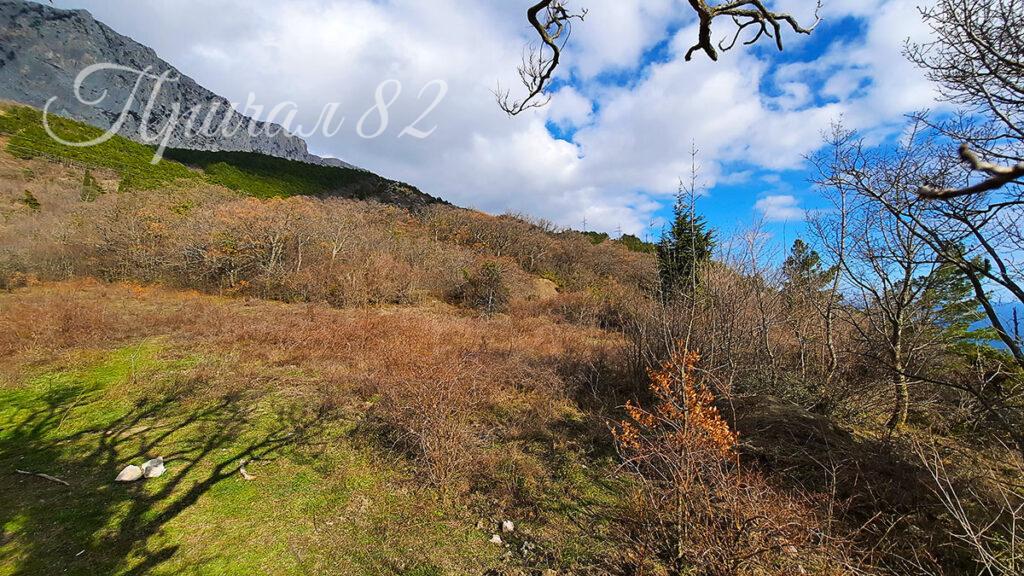 Ялта, пгт. Береговое