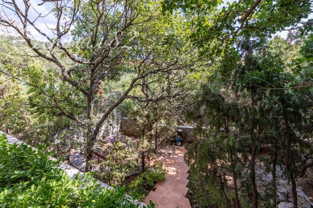 Ялта, пгт. Форос, мыс Сарыч