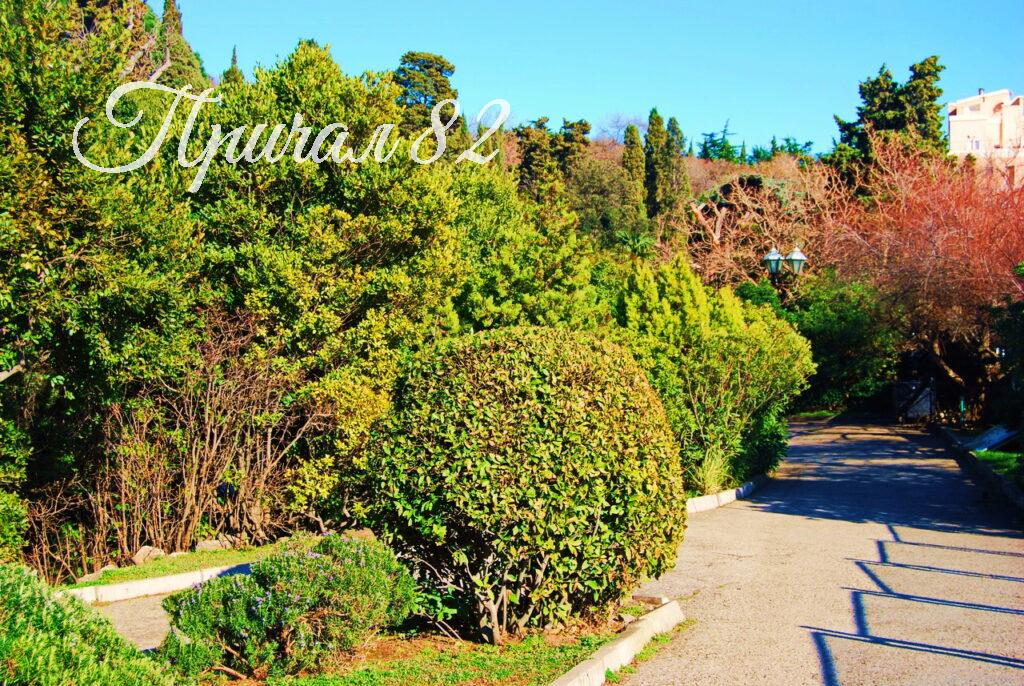 Ялта, пгт. Отрадное, ул. Мориса Тореза, 5