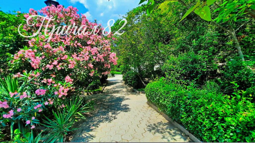 Ялта, пгт. Отрадное, ул. Мориса Тореза, 5