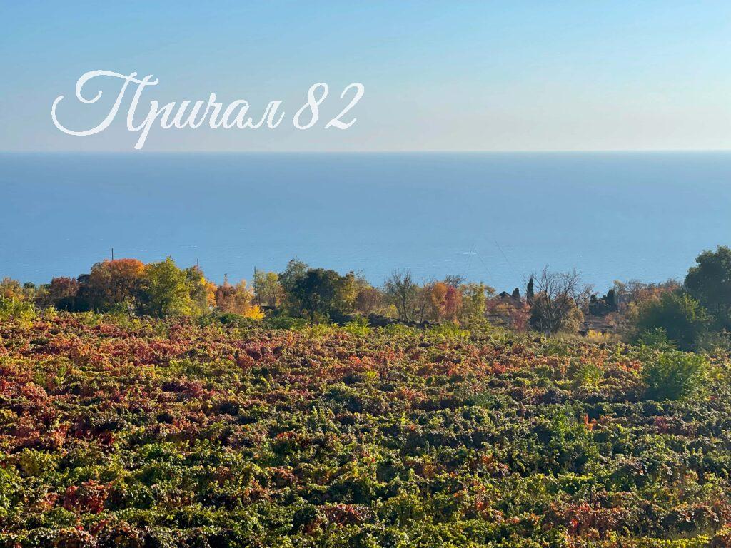 Ялта ул. Совхозная 9Б