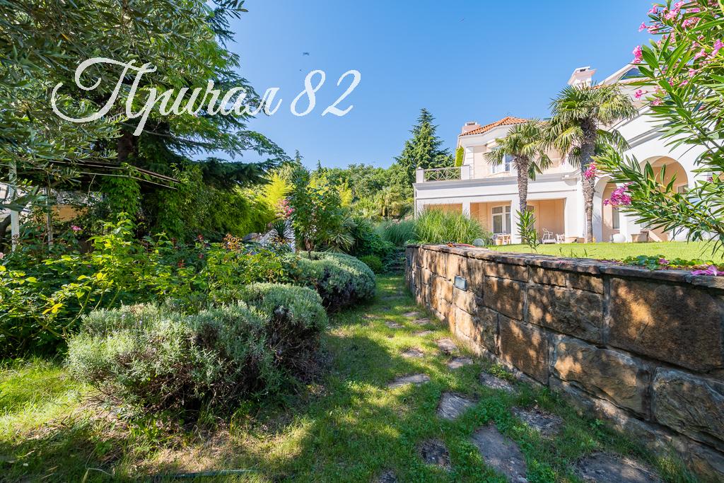 Ялта пгт. Ореанда 54