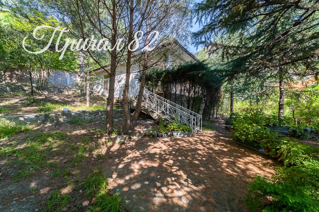 Ялта пгт. Ореанда 54