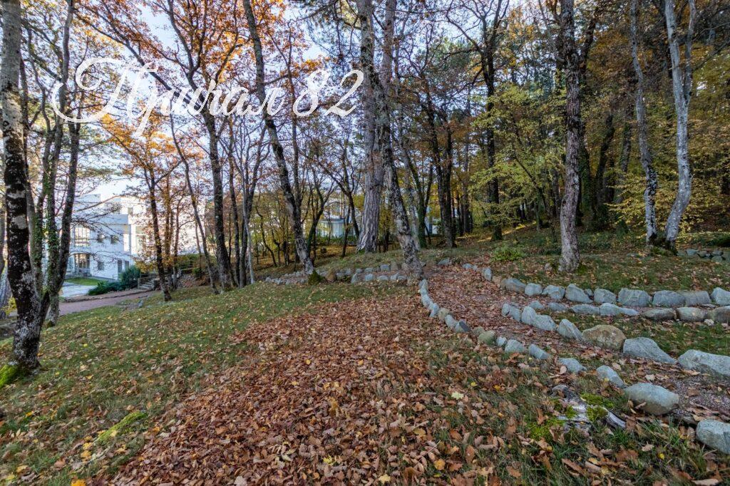 г. Ялта, пгт. Виноградное