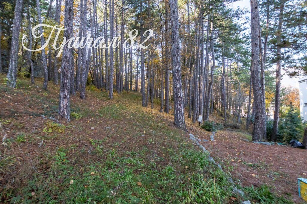 Ялта, пгт. Виноградное