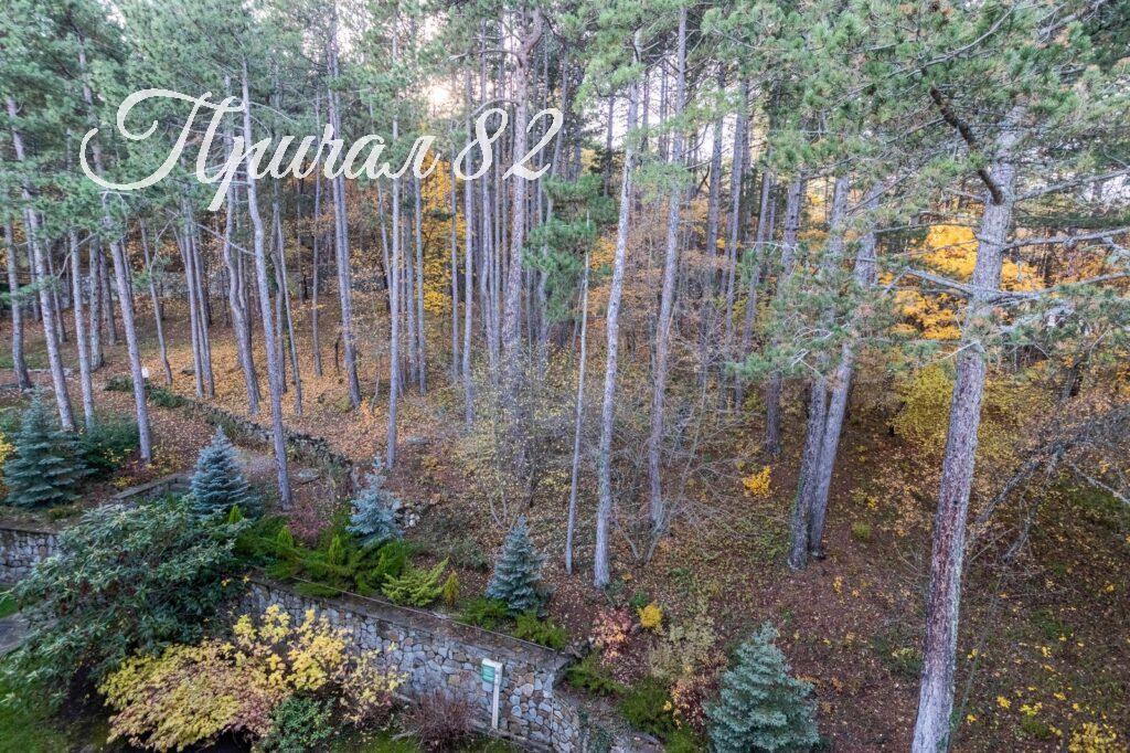 Ялта, пгт. Виноградное