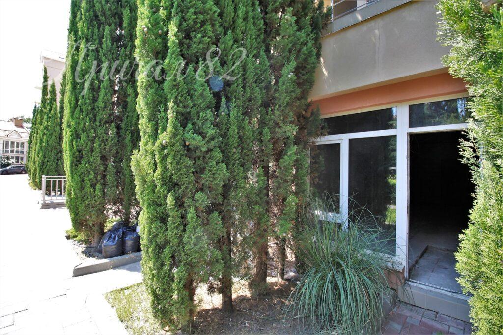 Алушта, Чайка, улица Багрова 12