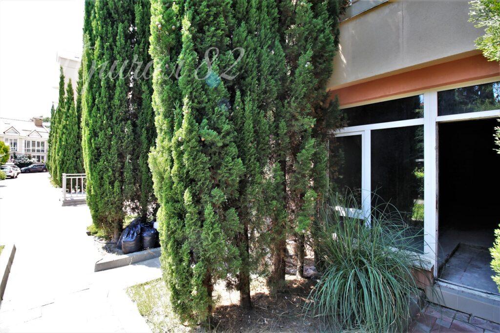 Алушта, Чайка, улица Багрова 12