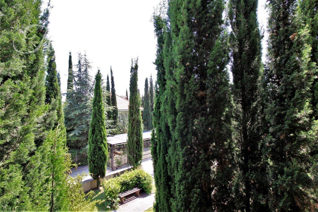 Алушта, Чайка, улица Багрова 12