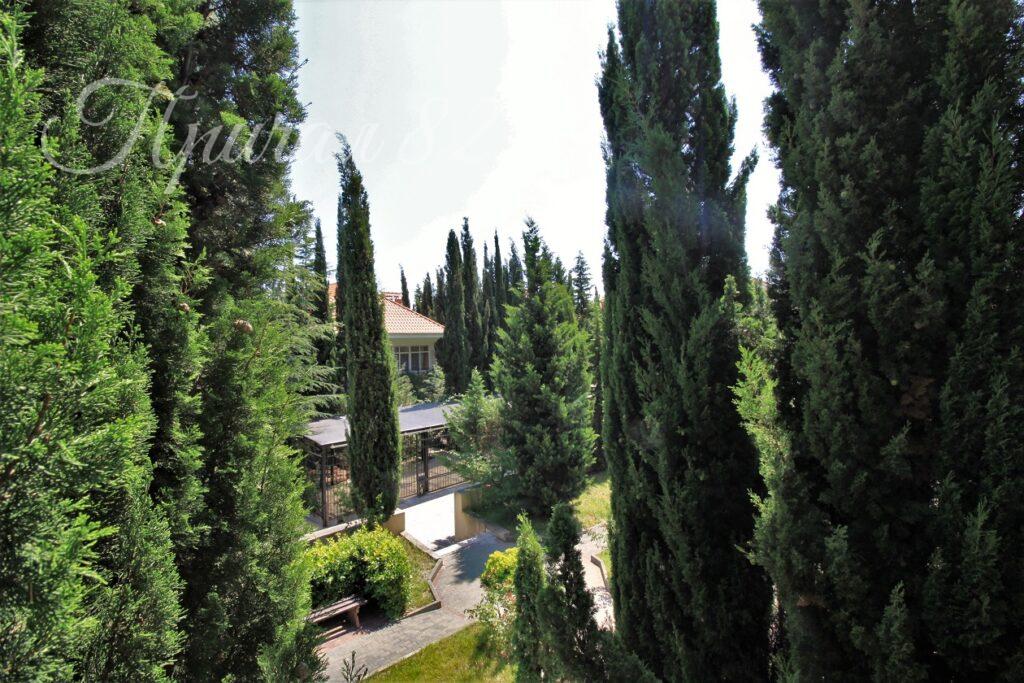 Алушта, Чайка, улица Багрова 12