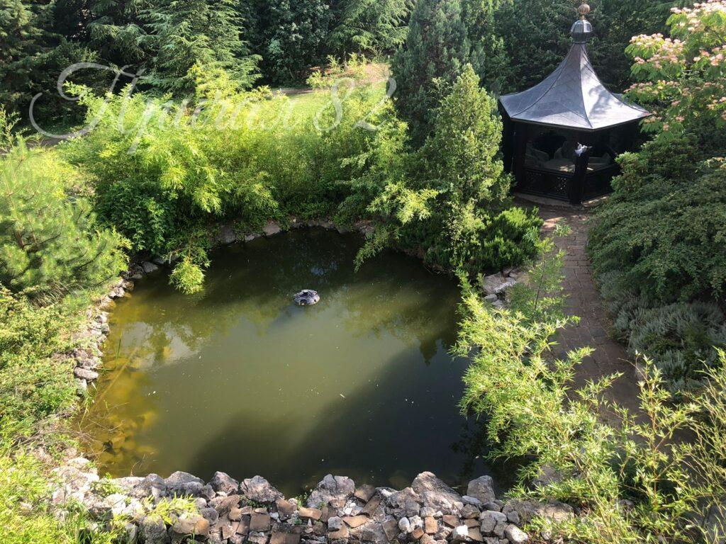 Ялта, поселок городского типа Отрадный, улица Аврора