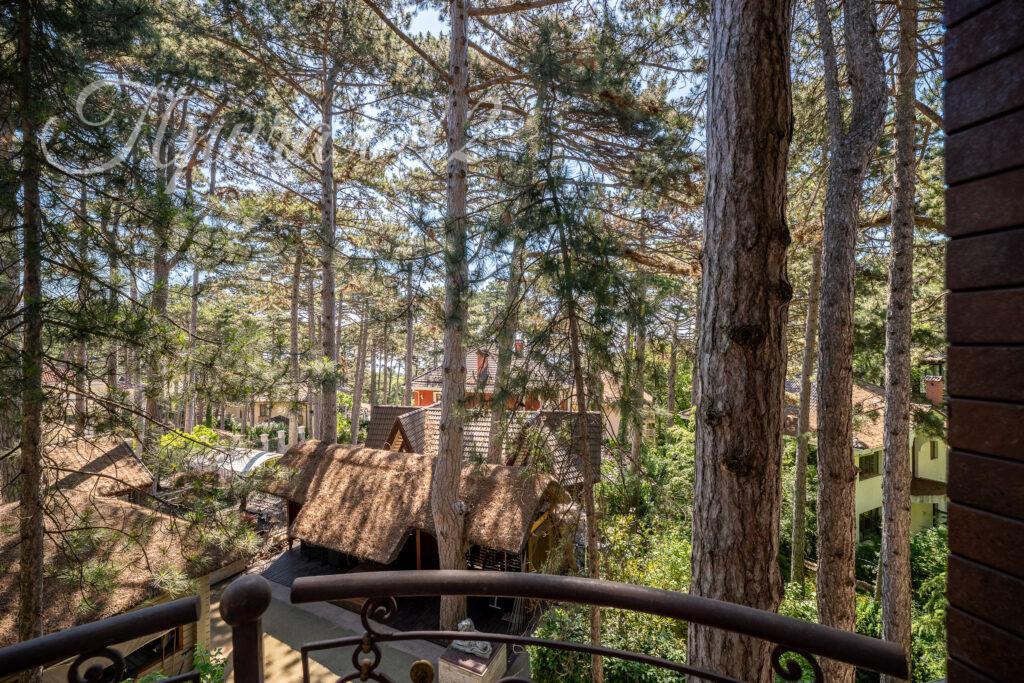 Крым респ., Ялта городской округ, Горное поселок, 31А