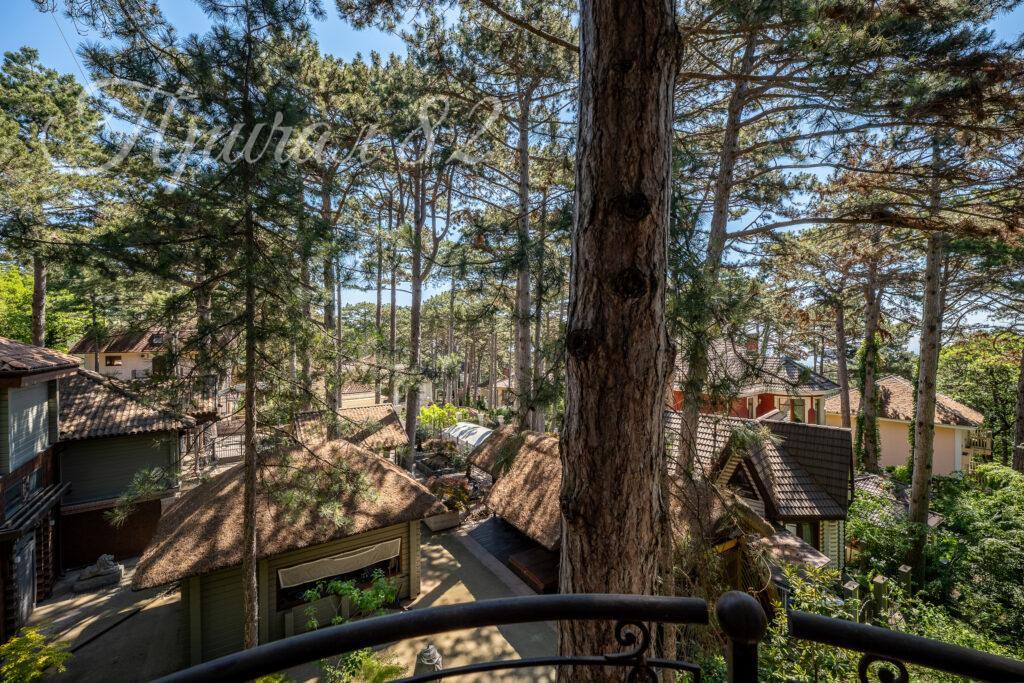 Крым респ., Ялта городской округ, Горное поселок, 31А