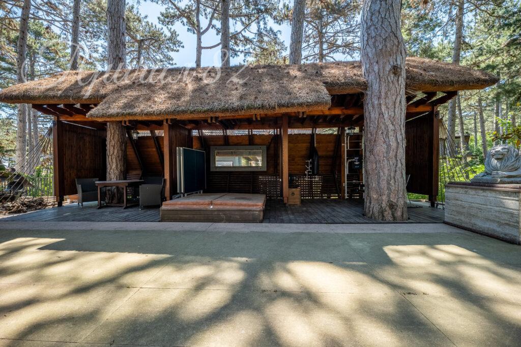 Крым респ., Ялта городской округ, Горное поселок, 31А