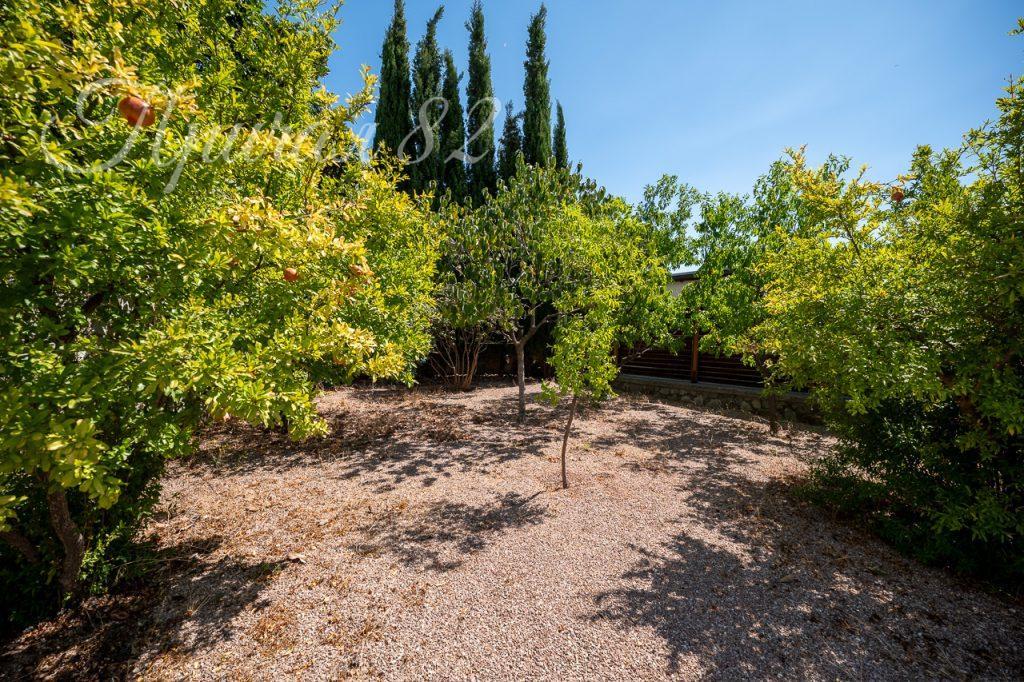 Ялта, пгт. Гурзуф, ул. Лазурная