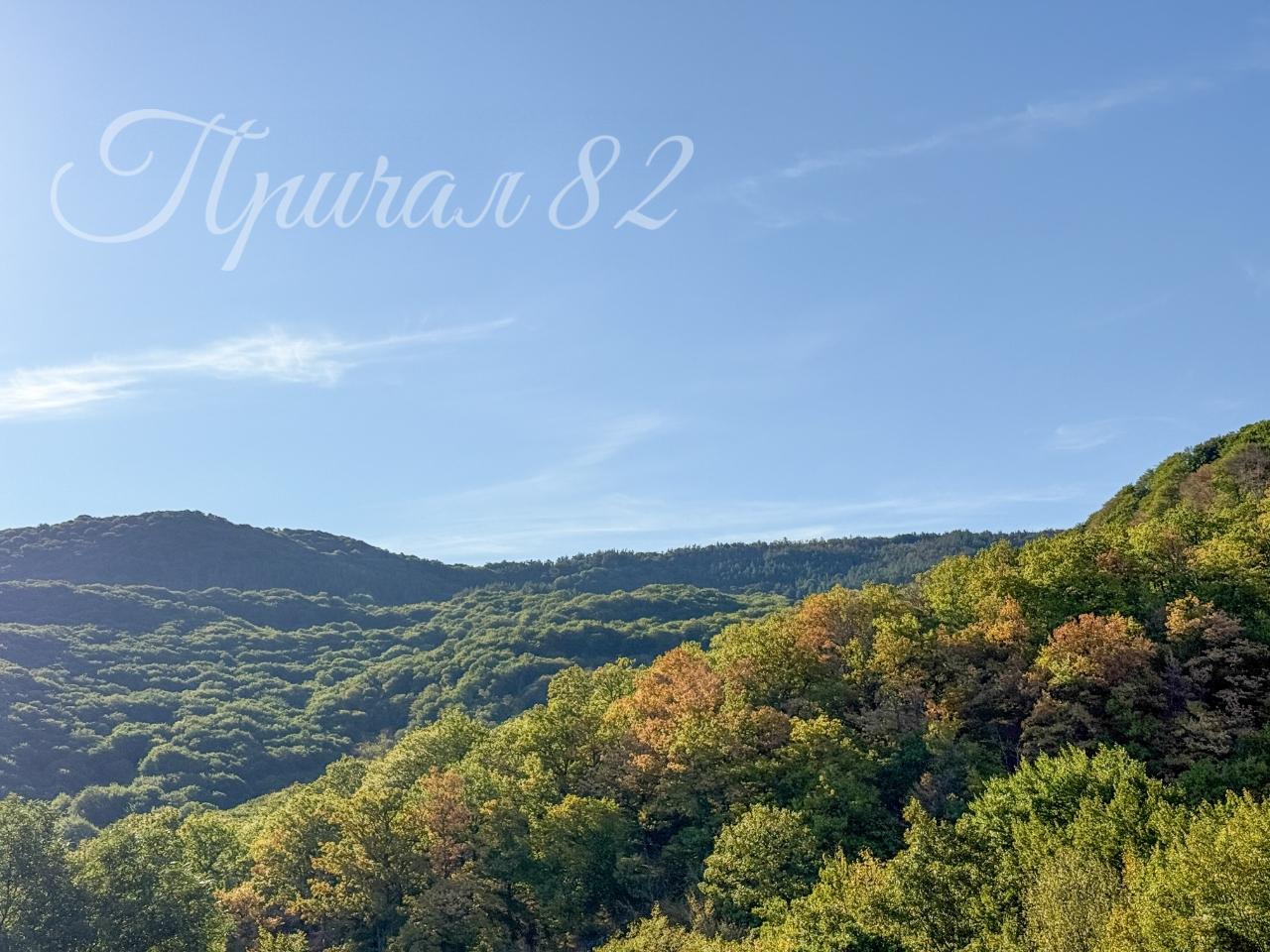 Алушта, Лучистое