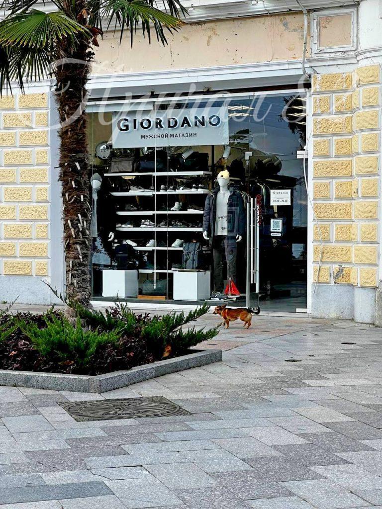 Ялта, набережная им. Ленина д. 11