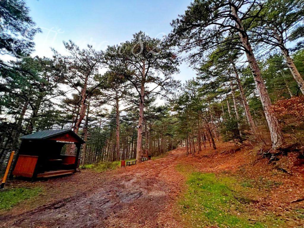 Ялта, пгт. Советское 7, Долоссы