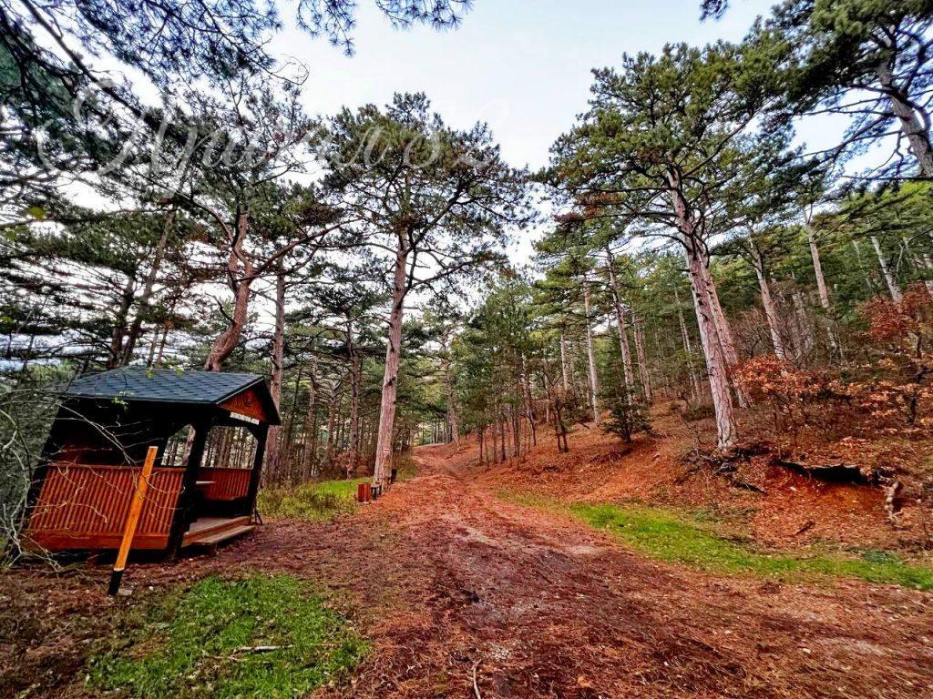 Ялта, пгт. Советское 7, Долоссы