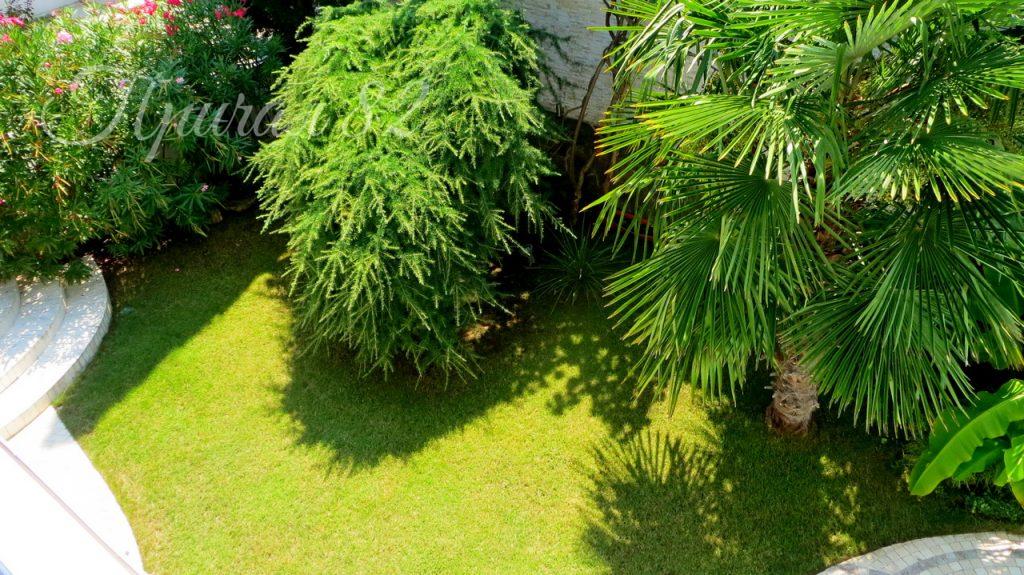 Ялта, ул. Переулок Сосновый д. 7