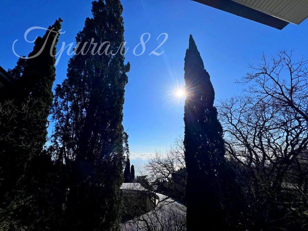 Ялта, пгт. Гаспра, ул. Алупкинское шоссе 19