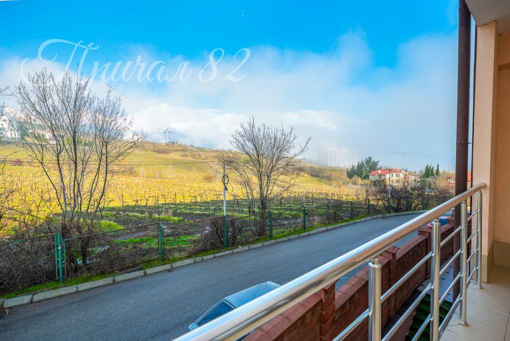 Ялта, виноградная 55