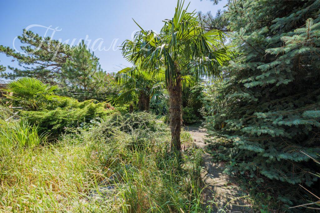 Ялта, Восход, улица Авроры, дом 4