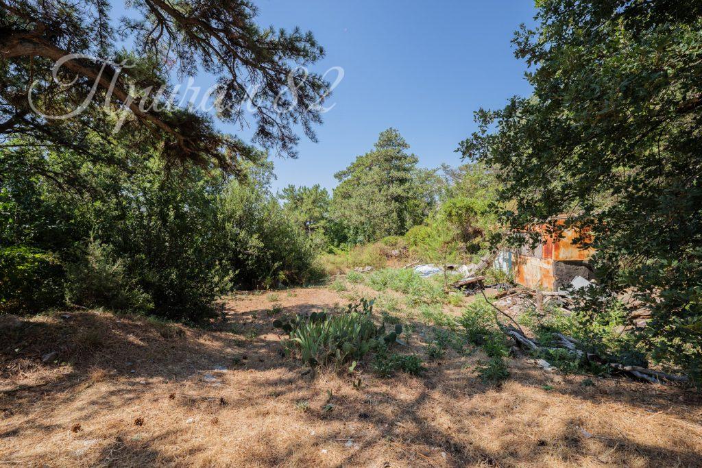 Ялта, Восход, улица Авроры, дом 4