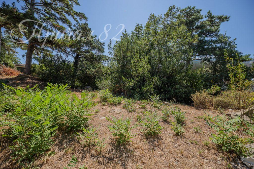 Ялта, Восход, улица Авроры, дом 4