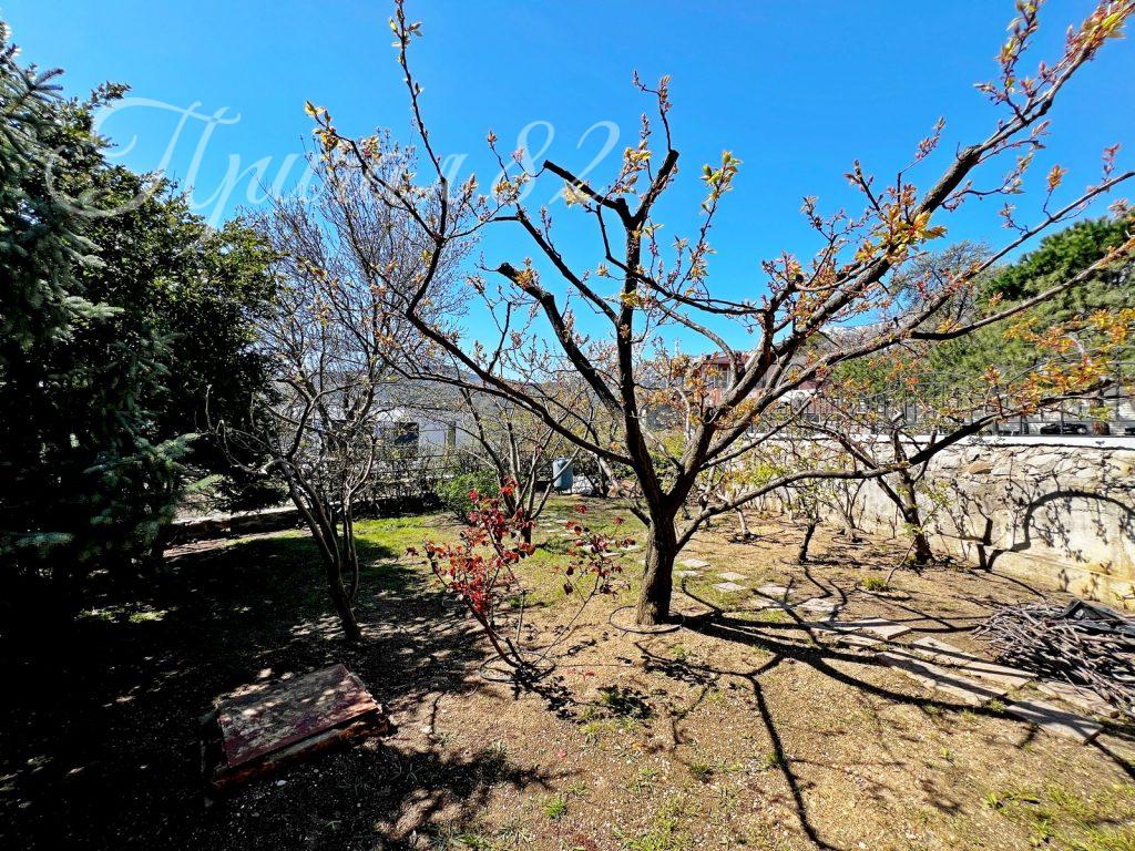 Ялта, пгт. Аутка