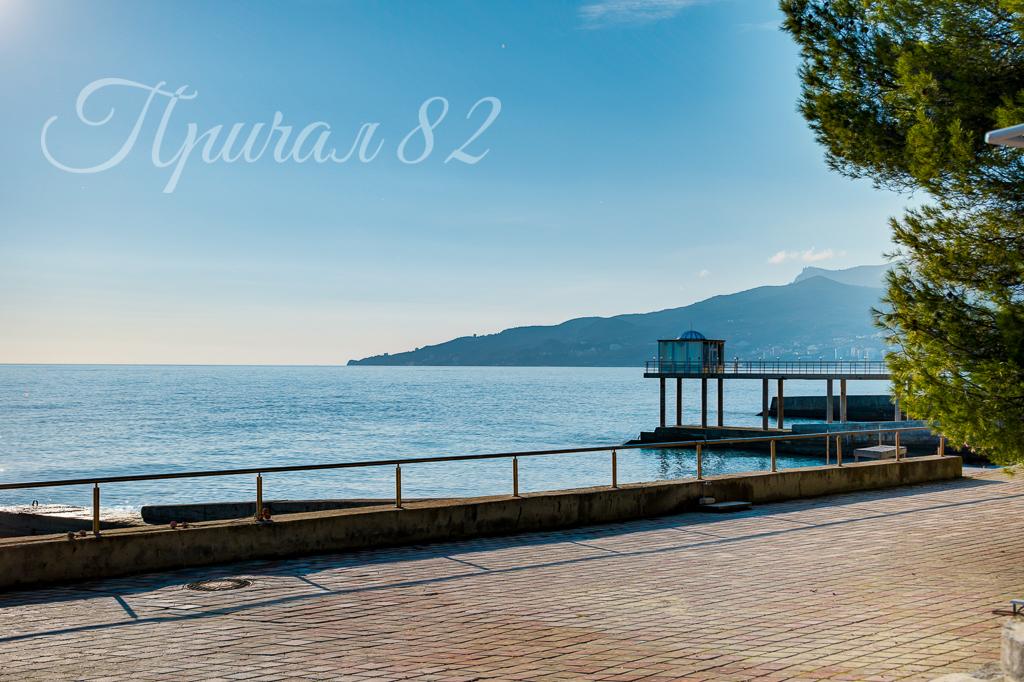 Ялта, пгт. Отрадное, шоссе Дражинского, 24