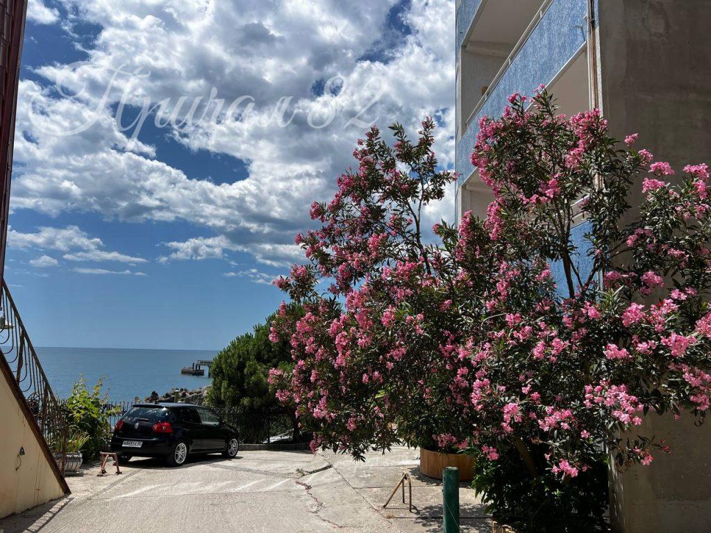 Ялта, пгт. Отрадное. ул. Отрадная д. 28