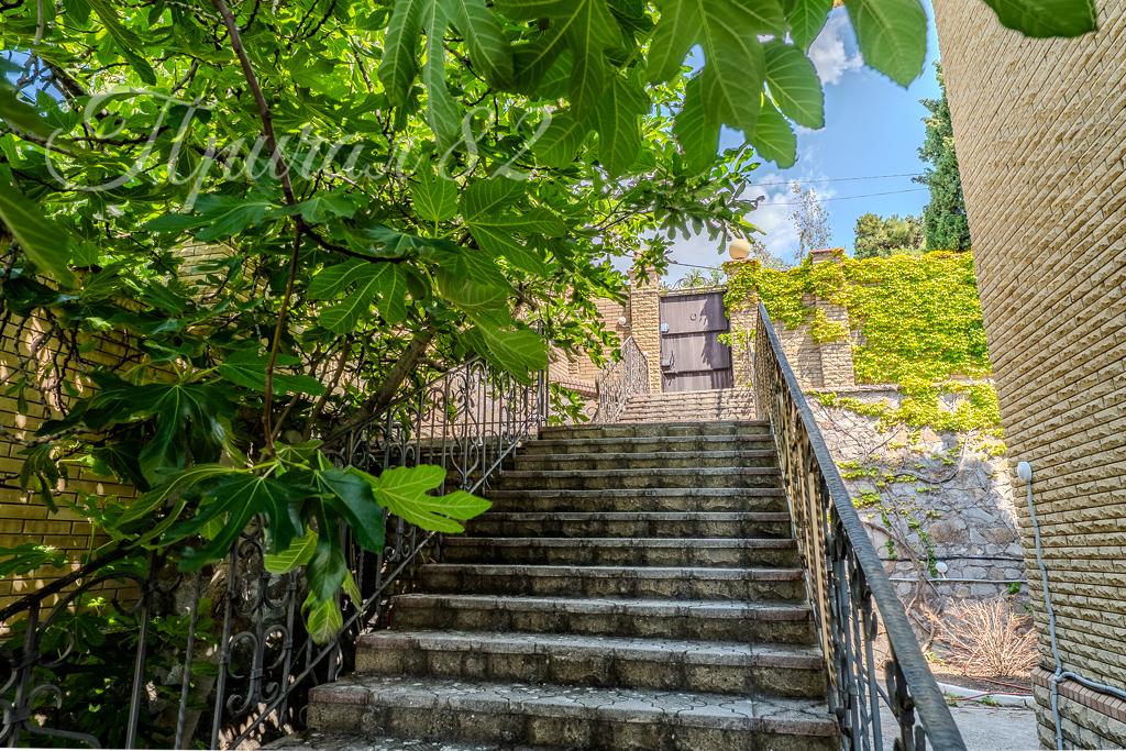 Ялта, пгт Никита, ул. Оранжерейная