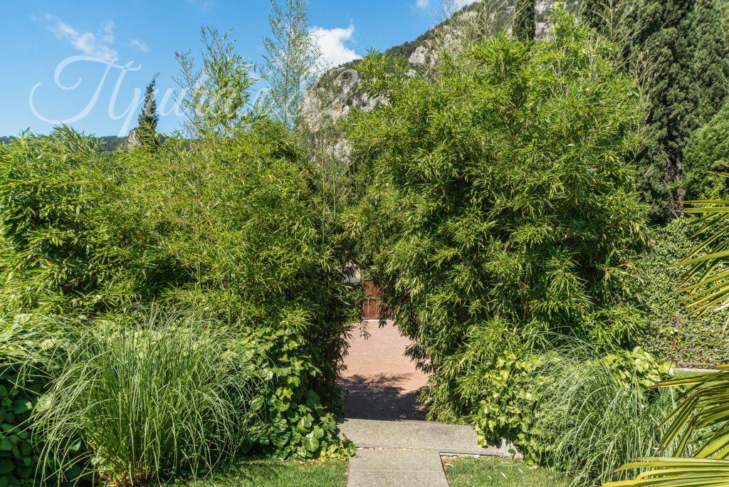 Ялта, пгт Ореанда 48