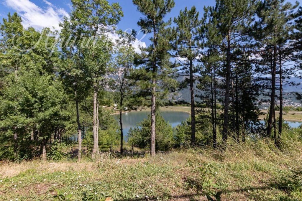 г.Ялта, поселок Виноградное