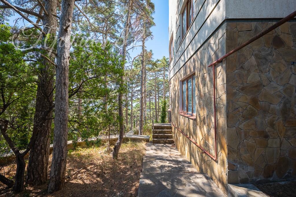 Ялта, пгт Сосняк, ул. Скалистая