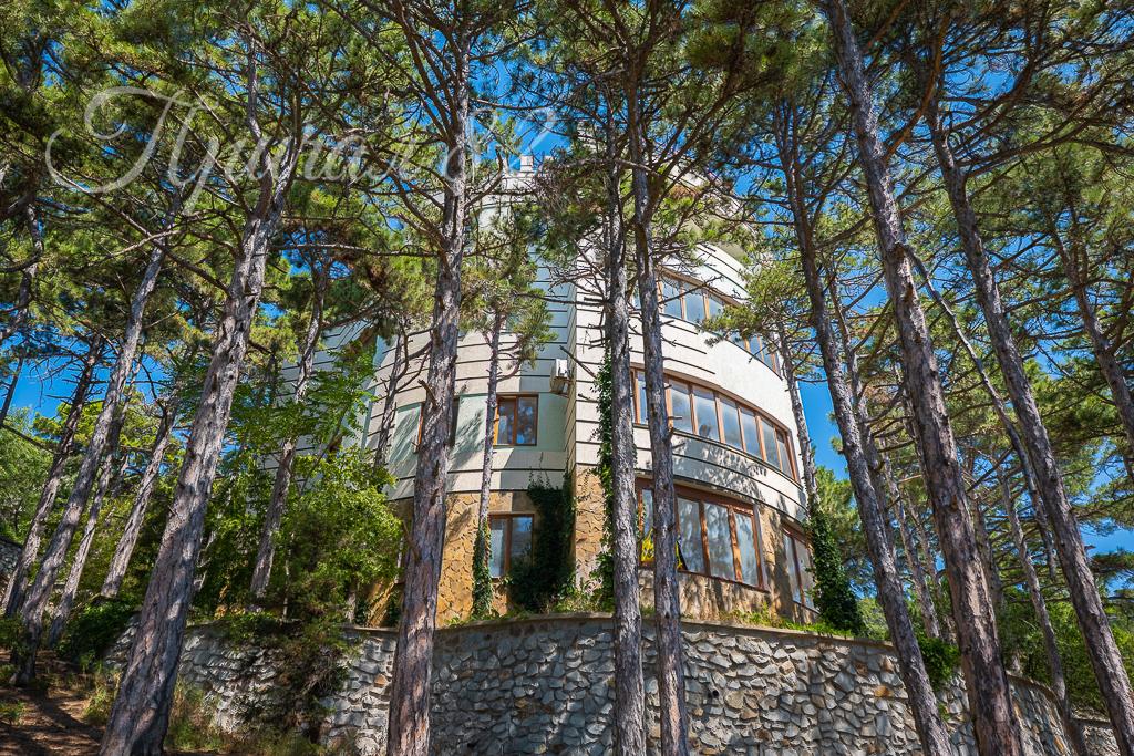 Ялта, пгт Сосняк, ул. Скалистая