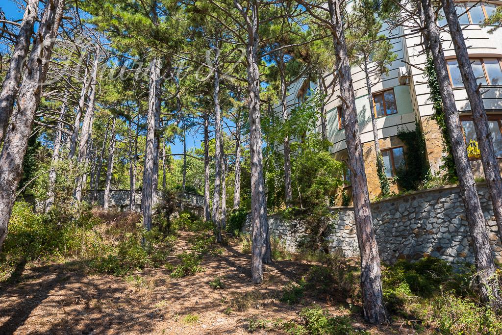 Ялта, пгт Сосняк, ул. Скалистая