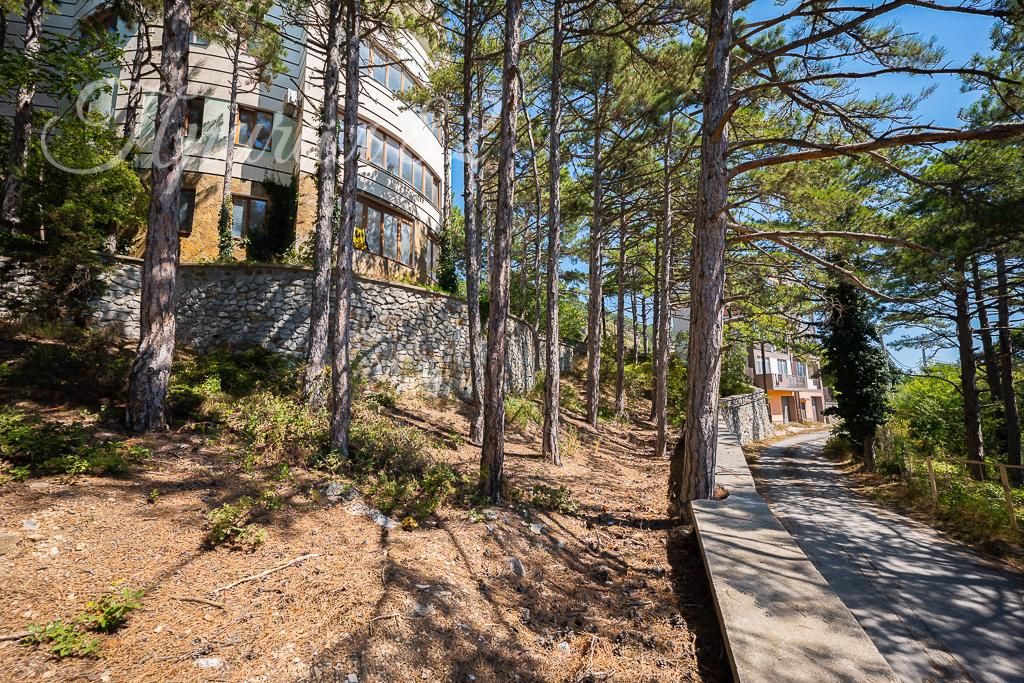 Ялта, пгт Сосняк, ул. Скалистая