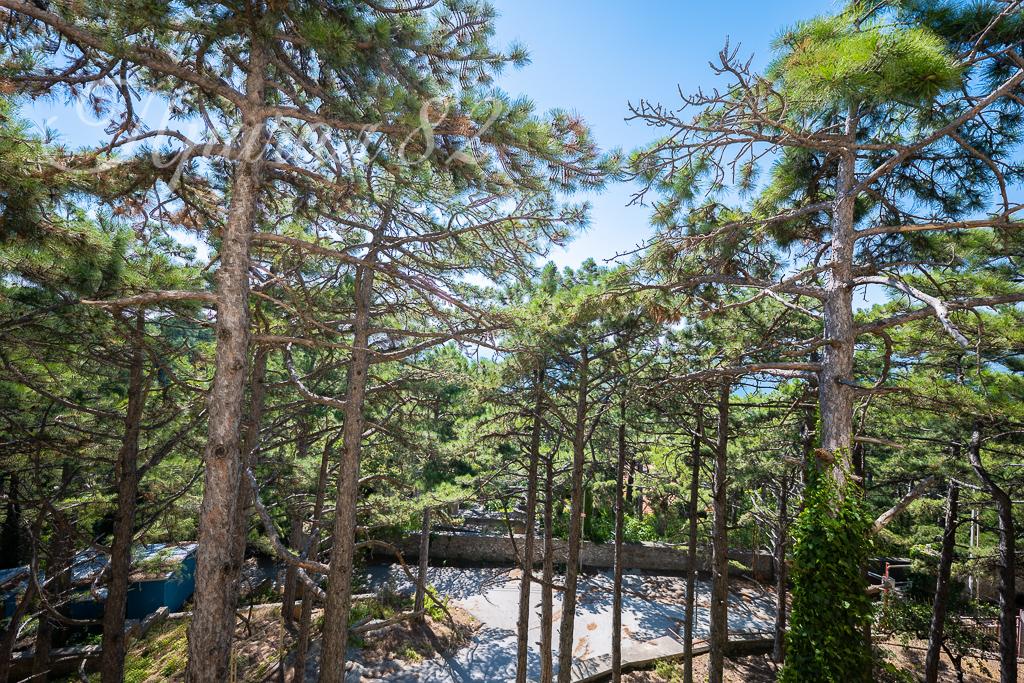 Ялта, пгт Сосняк, ул. Скалистая