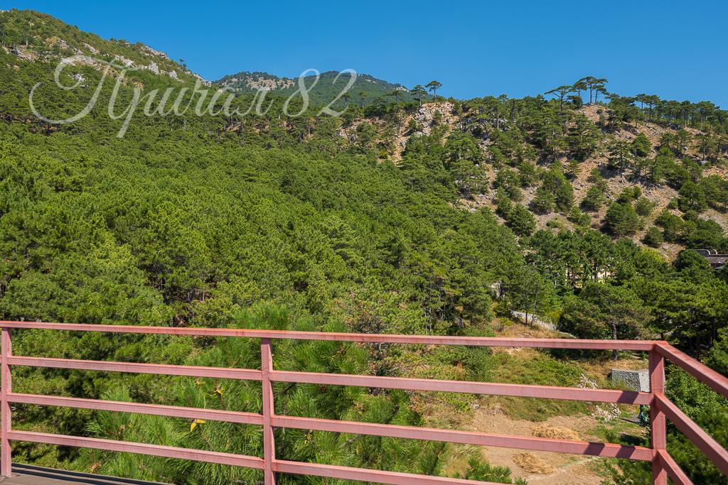 Ялта, пгт Сосняк, ул. Скалистая