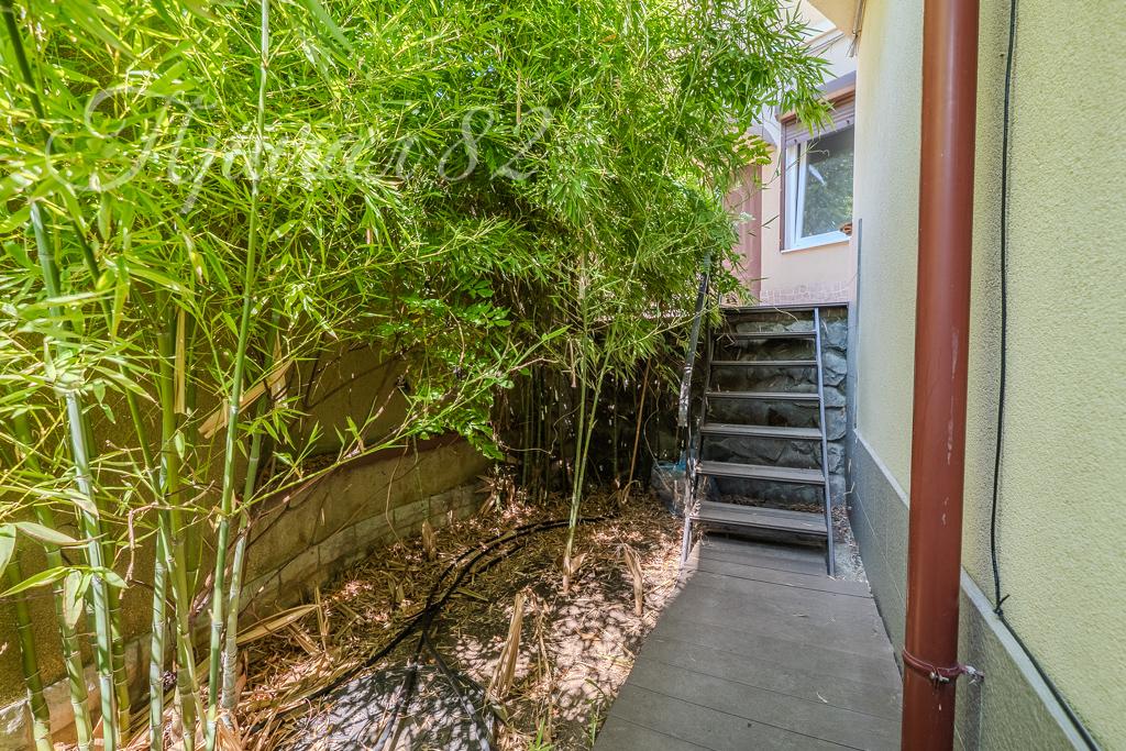 ялта улица Ломоносова 37А