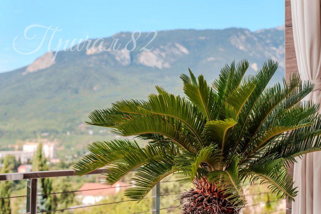 Ялта, Гурзуф, ул. Ялтинская 22 а