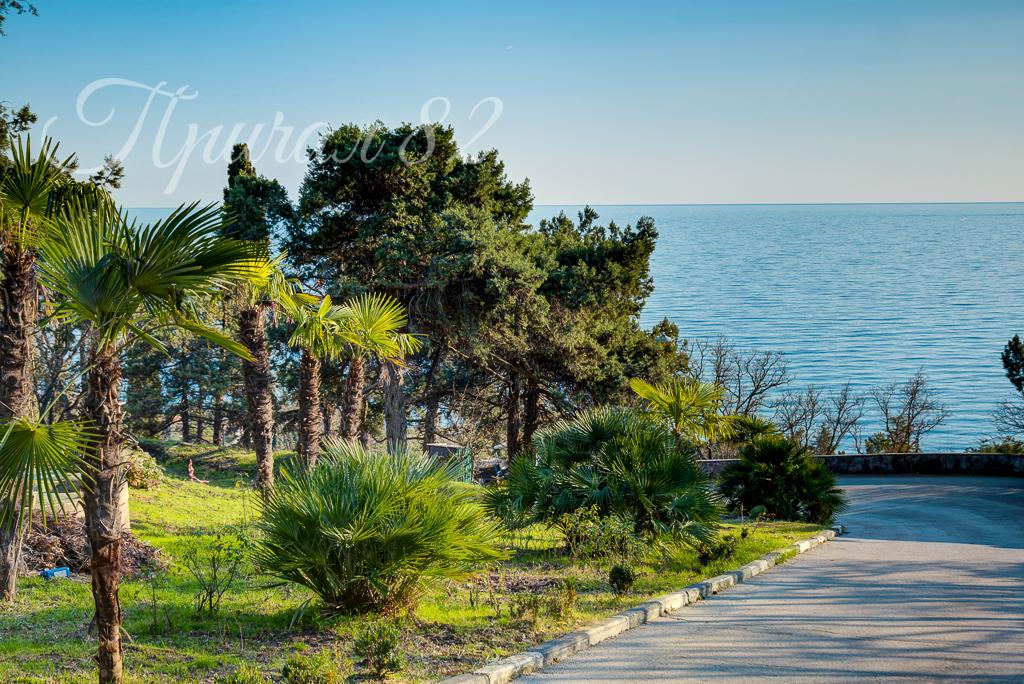 Ялта, шоссе Дражинского 26