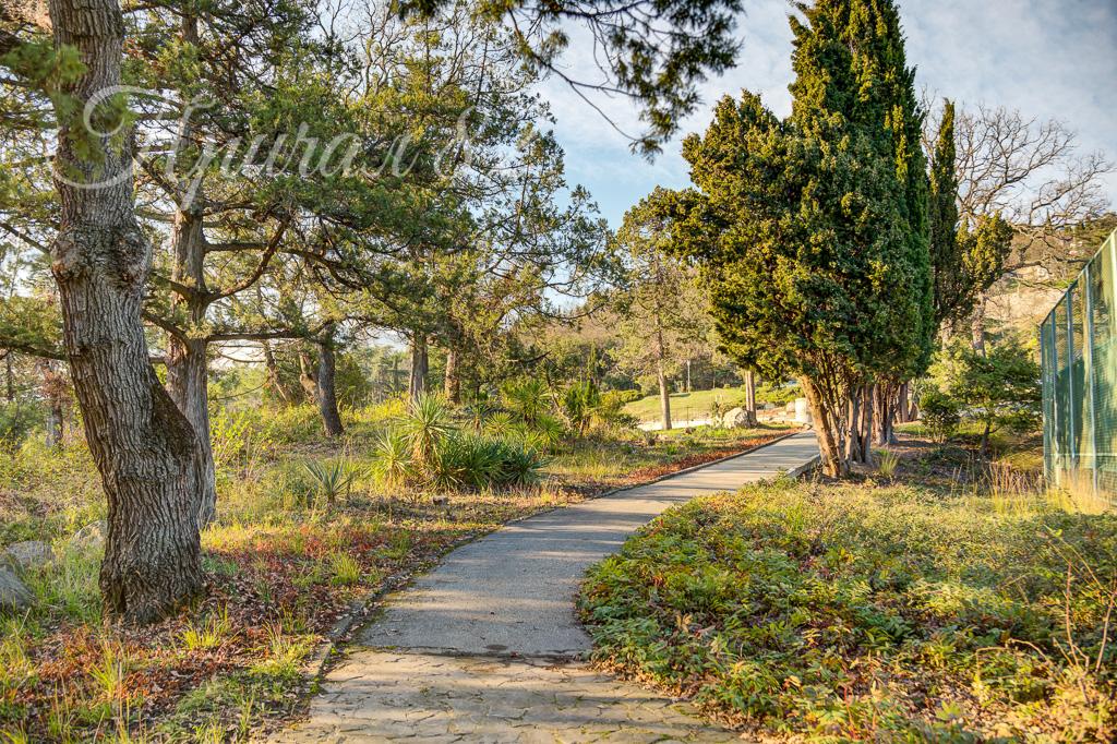 Ялта, шоссе Дражинского 26